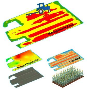 Precision Agriculture Image